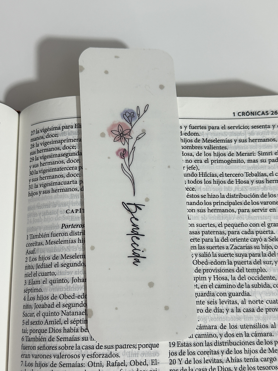 Separador Termolaminado bendecida  1