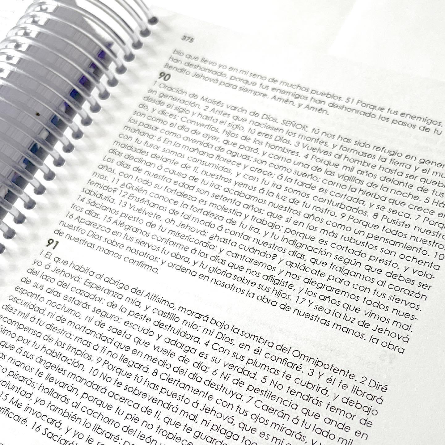 Biblia Creativa León 4