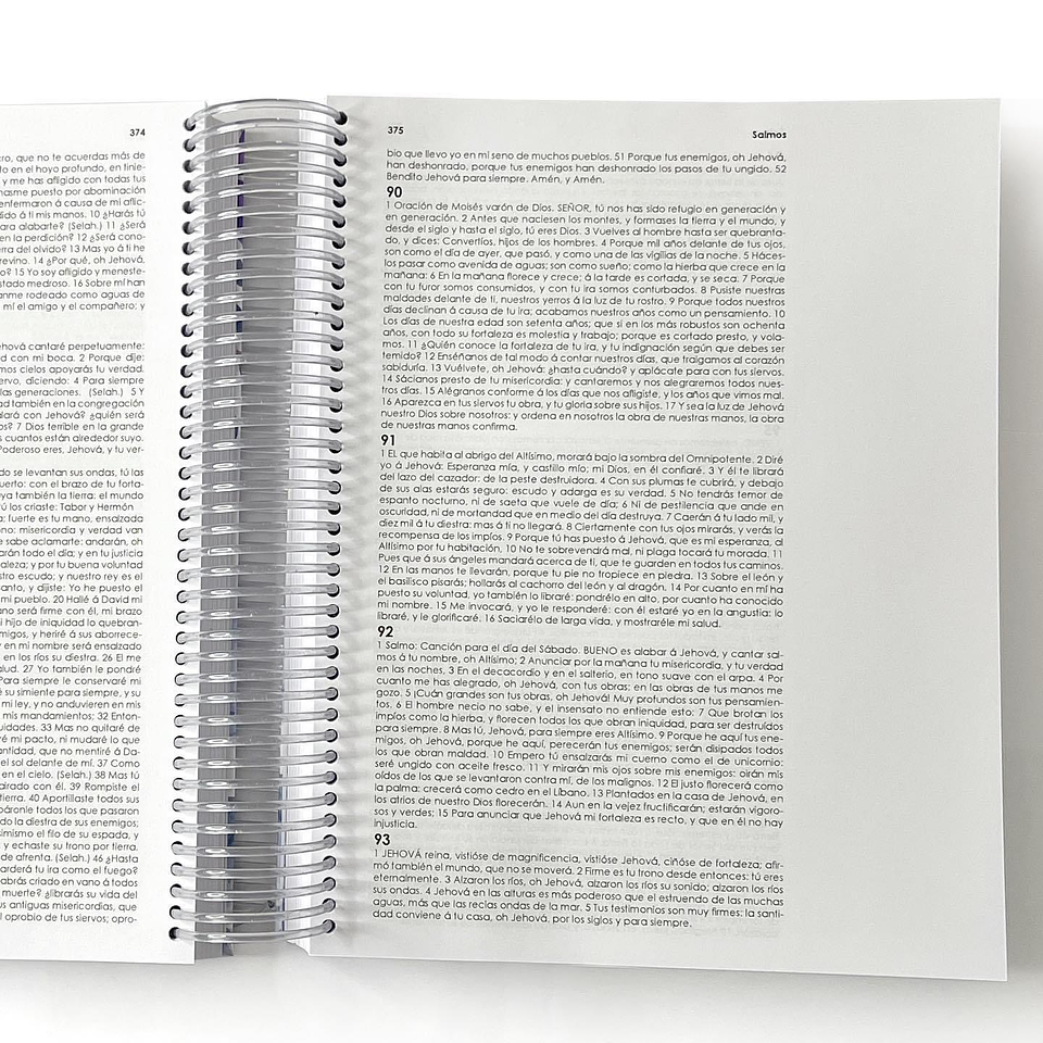 Biblia Creativa Líneas Aesthetic  3