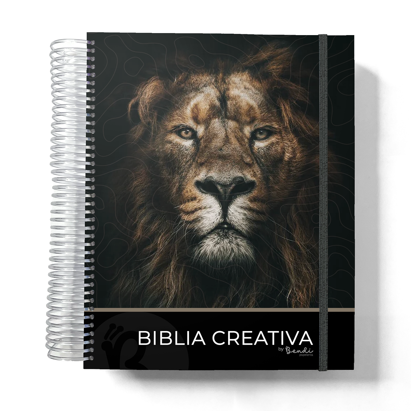 Biblia Creativa + Devocional  17