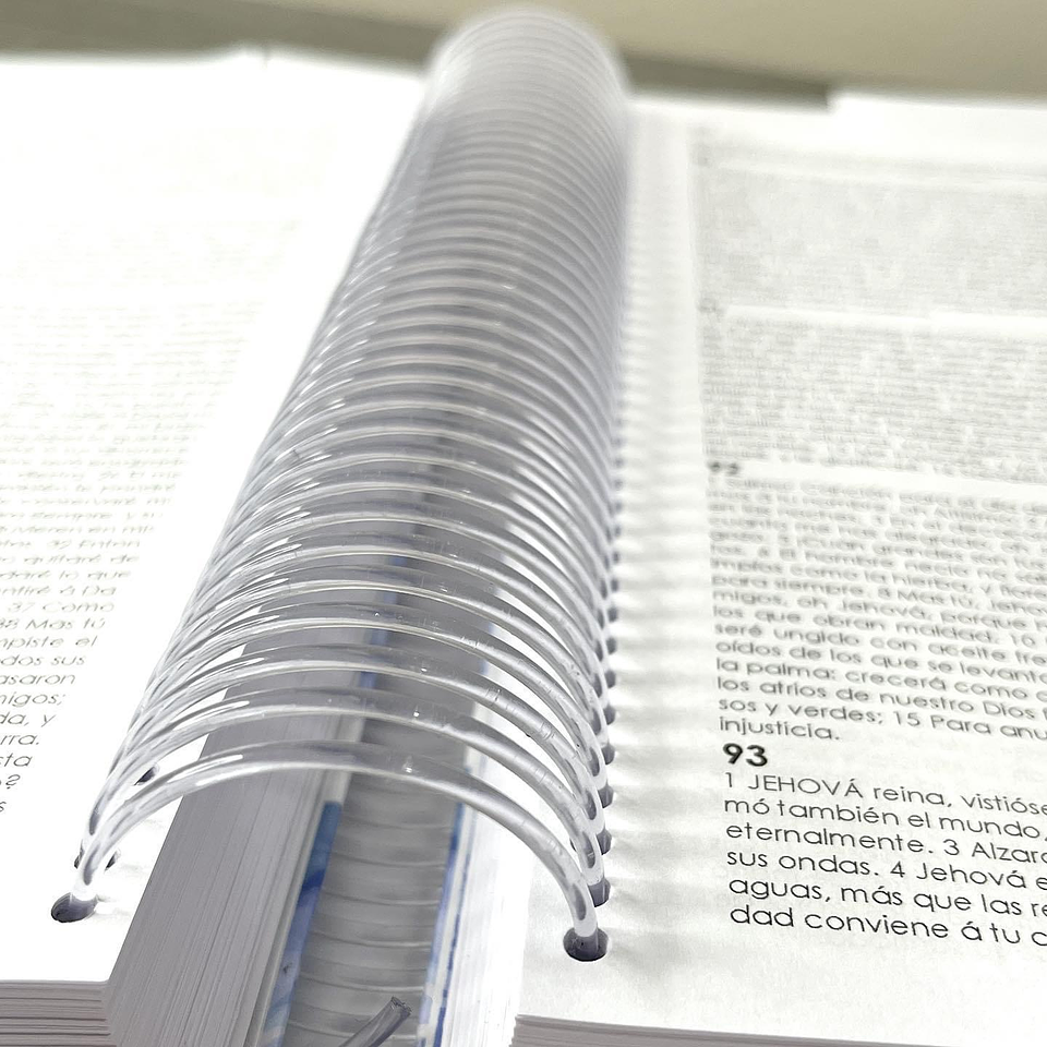 Biblia Creativa Arcoíris  2