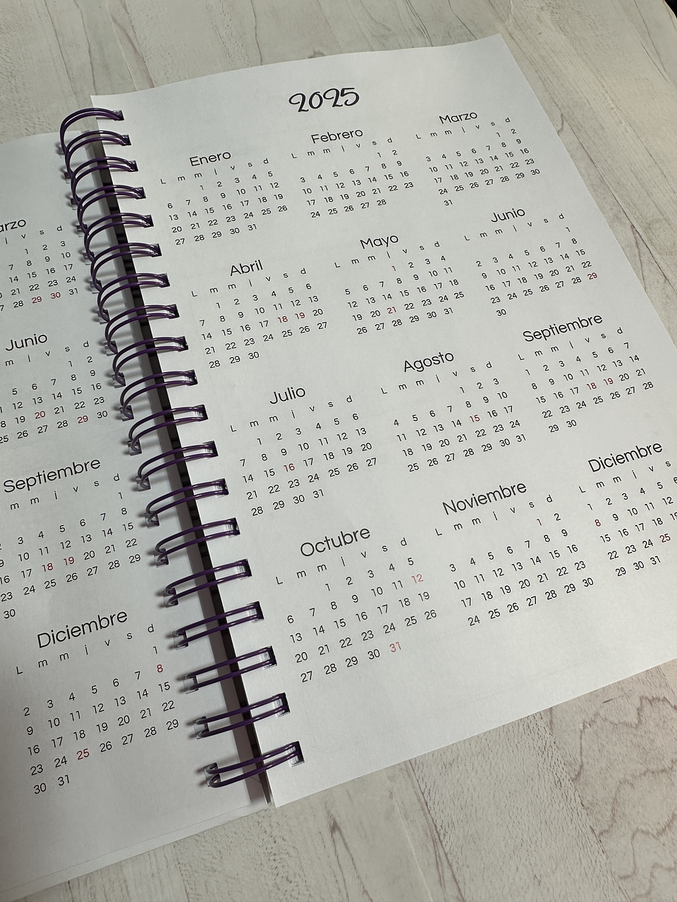 Agenda Dios Tiene el Control XL Lila 3