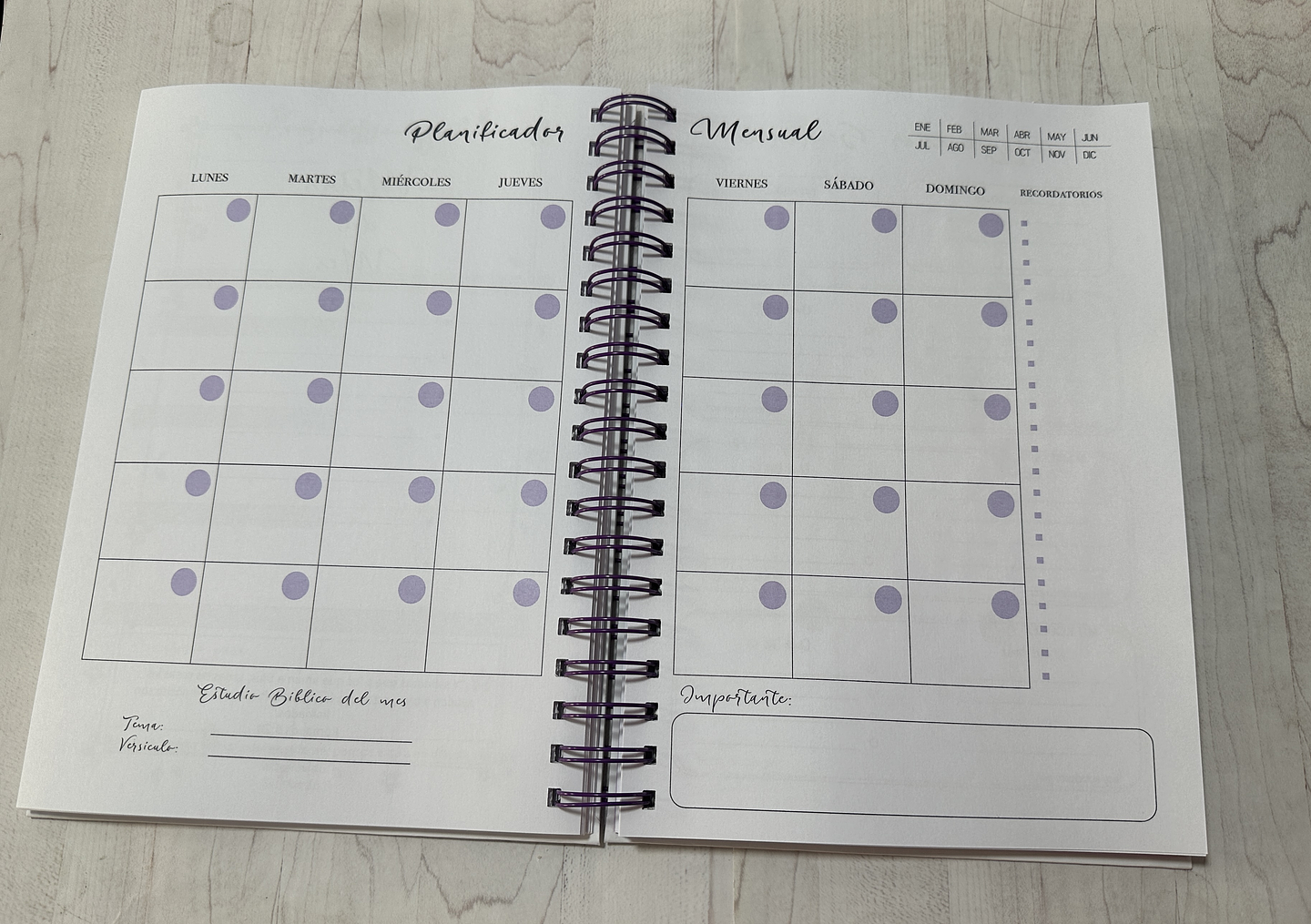 Agenda Dios Tiene el Control XL Lila 5