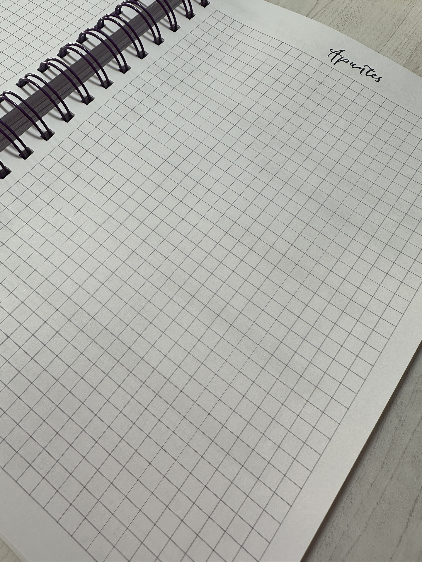 Agenda Dios Tiene el Control XL Lila 6