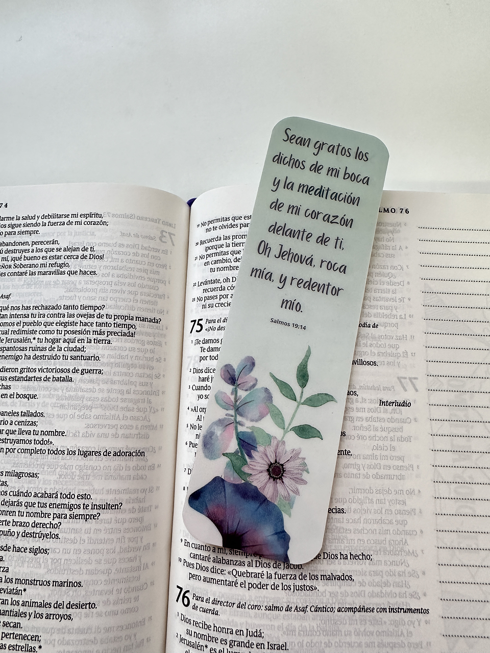 Separador Termolaminado Salmos 19:14 1