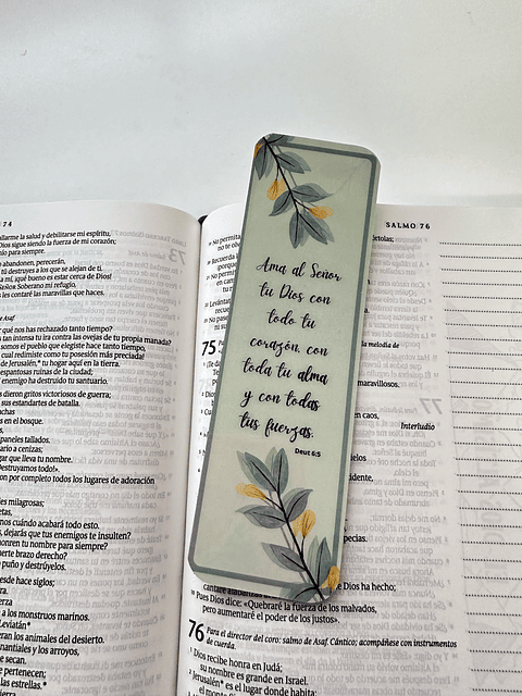 Separador Termolaminado Amad al Señor