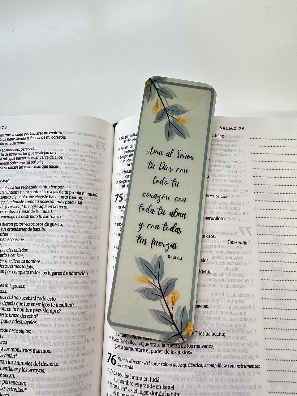 Separador Termolaminado Amad al Señor 1