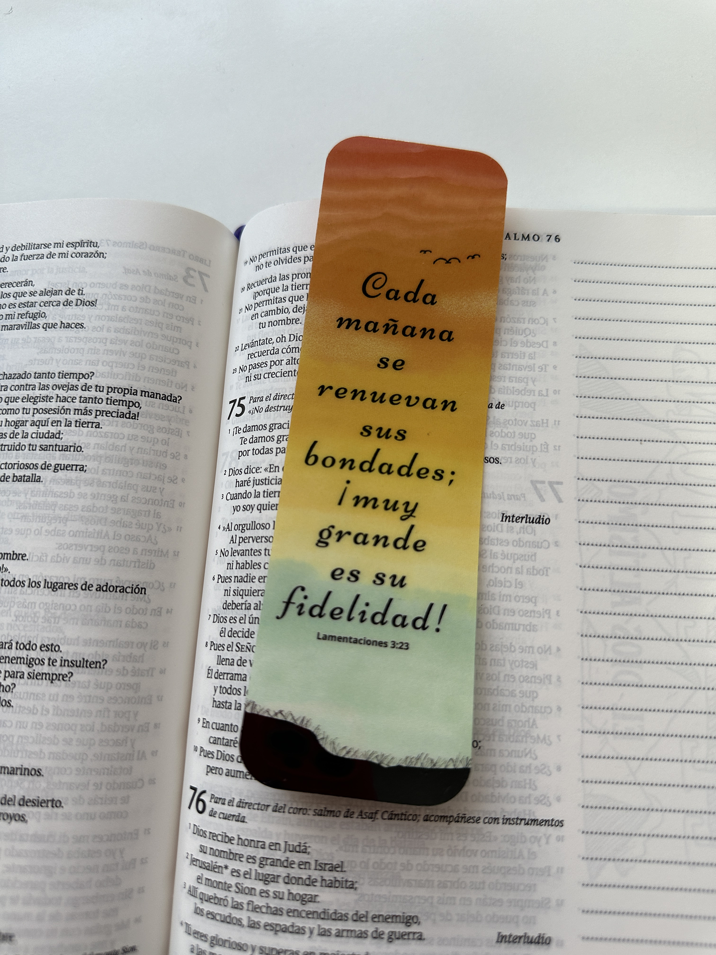 Separador Termolaminado Cada mañana 1