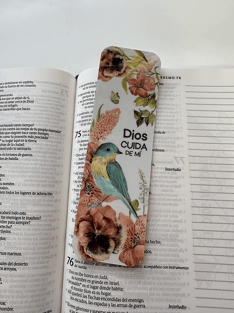 Separador Termolaminado Dios cuida de mí