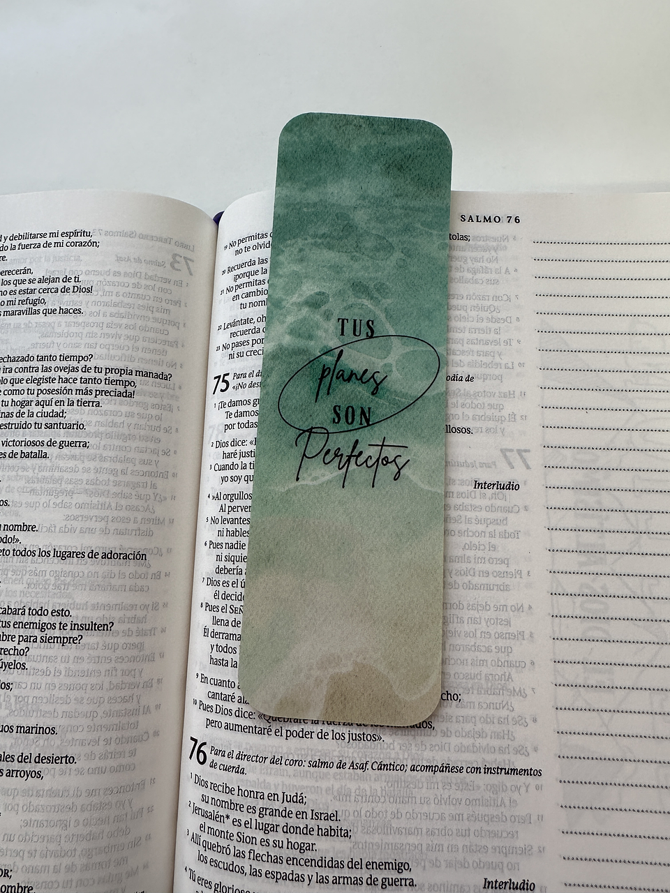 Separador Termolaminado tus planes son perfectos 1