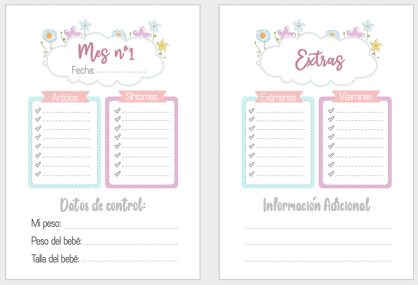 Mi Diario de Embarazo. 2