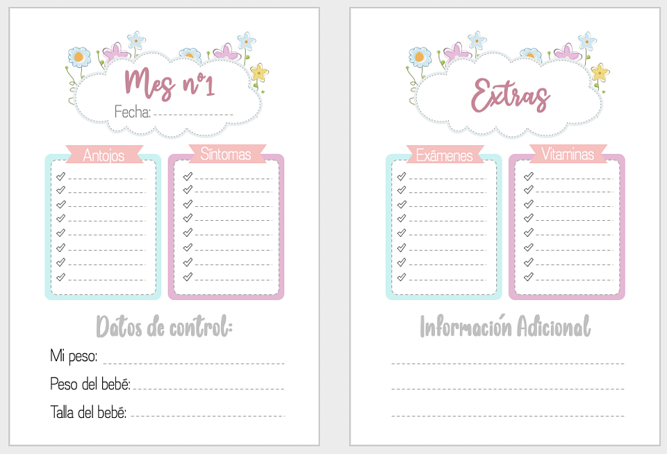 Mi Diario de Embarazo.-  2