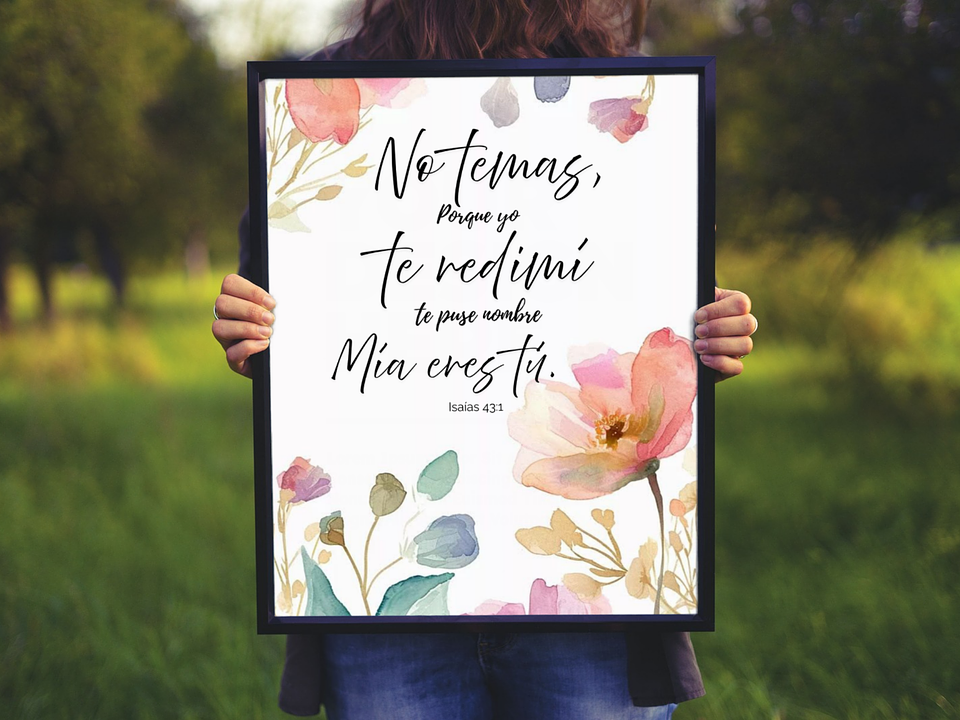 Cuadro - No temas yo te redimí  1