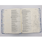 Biblia RVR 1960 de Apuntes Edición Ilustrada Rosado y Azul Tela 2