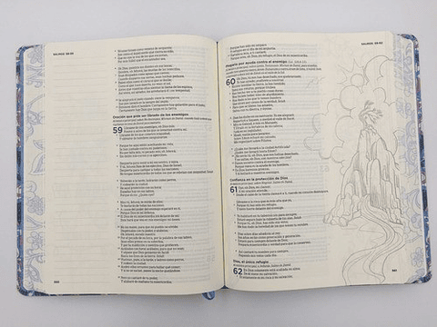 Biblia RVR 1960 de Apuntes Edición Ilustrada Rosado y Azul Tela