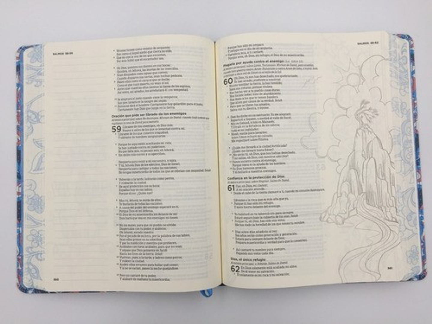 Biblia RVR 1960 de Apuntes Edición Ilustrada Rosado y Azul Tela 2