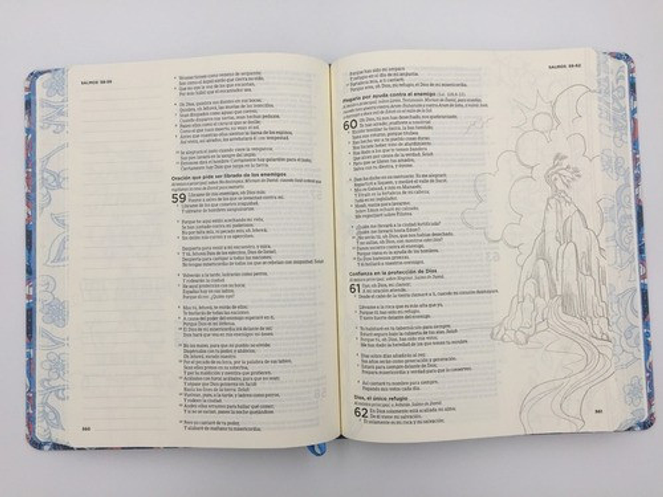 Biblia RVR 1960 de Apuntes Edición Ilustrada Rosado y Azul Tela 2