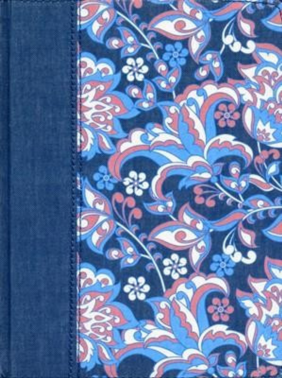 Biblia RVR 1960 de Apuntes Edición Ilustrada Rosado y Azul Tela 5