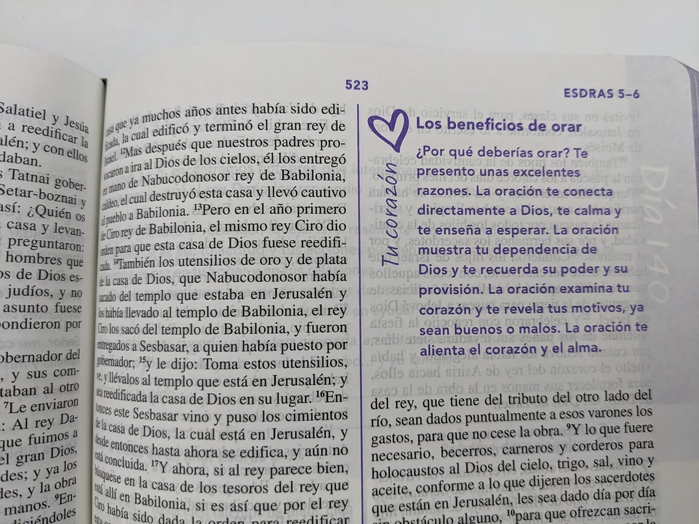 Biblia de una joven conforme al corazón de Dios RVR60 – Lujo Floral 3