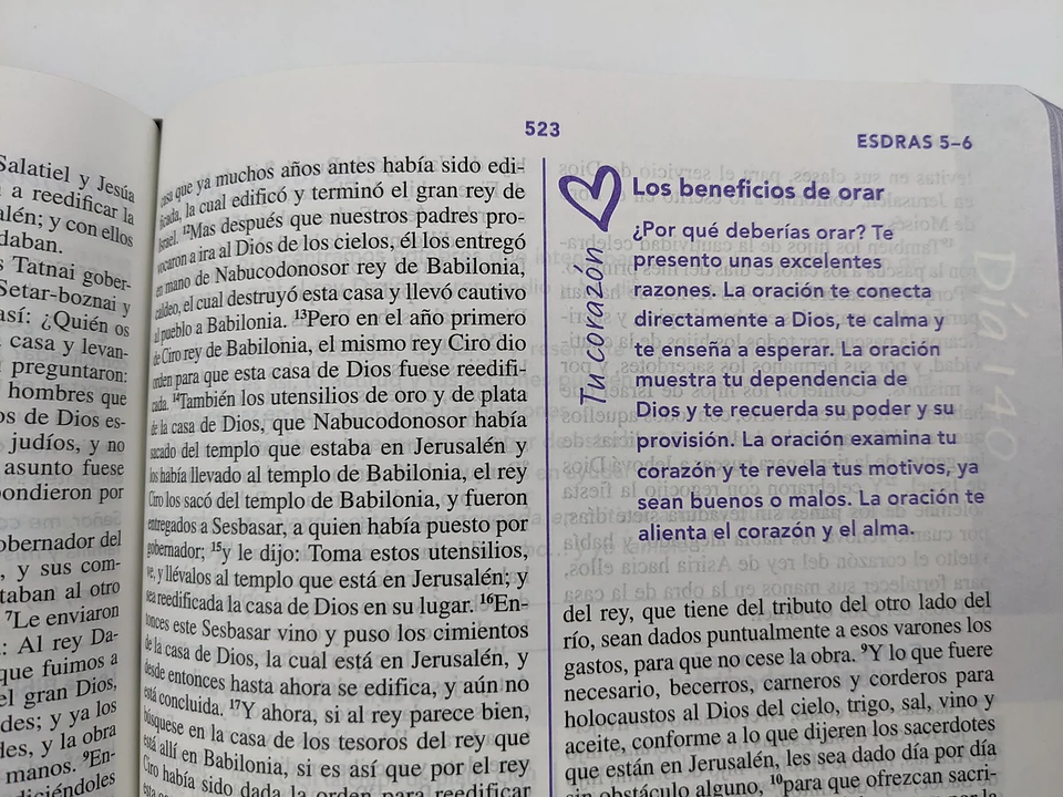 Biblia de una joven conforme al corazón de Dios RVR60 – Lujo Floral 3