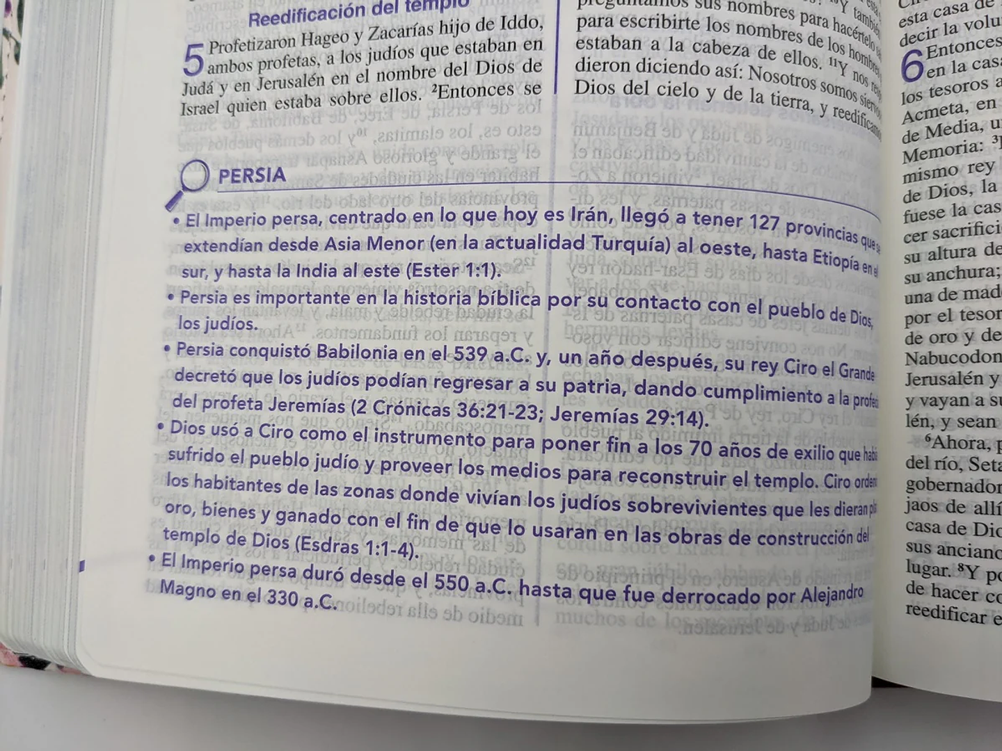 Biblia de una joven conforme al corazón de Dios RVR60 – Lujo Floral 4