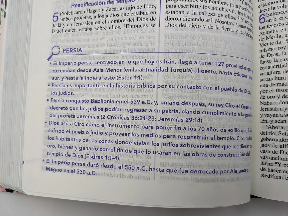 Biblia de una joven conforme al corazón de Dios RVR60 – Lujo Floral 4