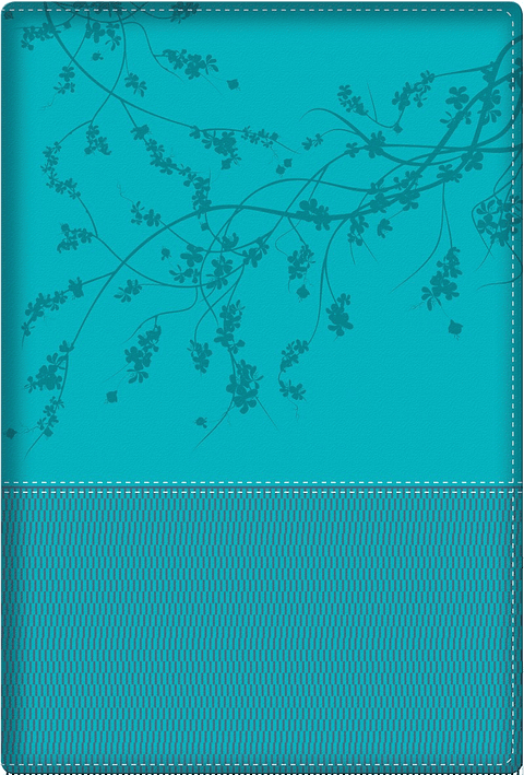 Biblia devocional de la mujer conforme al corazón de Dios: Aqua RVR 1960