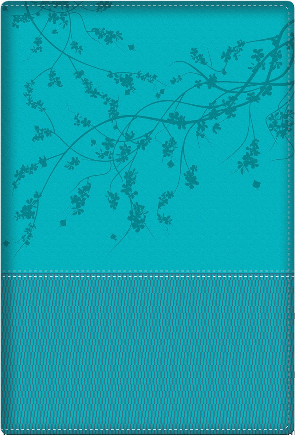 Biblia devocional de la mujer conforme al corazón de Dios: Aqua RVR 1960 2