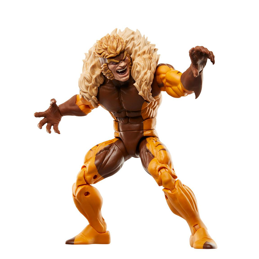 Figura Fan 50 Aniversario Marvel Legends Wolverine: Logan y Sabretooth F9021