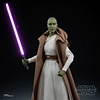 Star Wars Jedi Master Vernestra Rwoh G1548 – Figura Hasbro