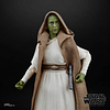 Star Wars Jedi Master Vernestra Rwoh G1548 – Figura Hasbro