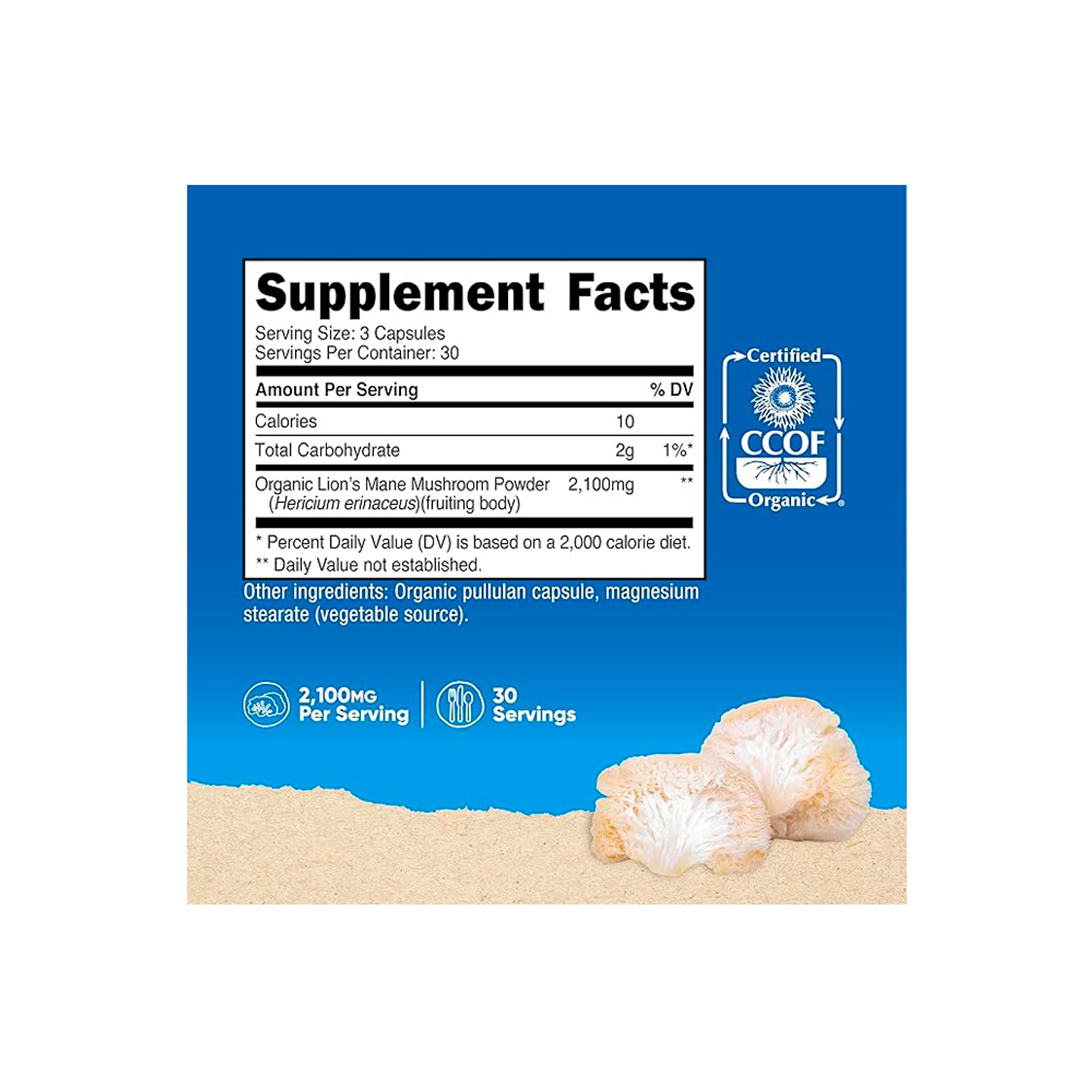 Melena de León 700 MG x 90 CÁPSULAS (PARA IMPORTAR) 2