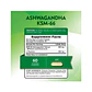 Ashwagandha KSM66 + L-teanina - 60 tabletas recubiertas (PARA IMPORTAR) - Miniatura 2