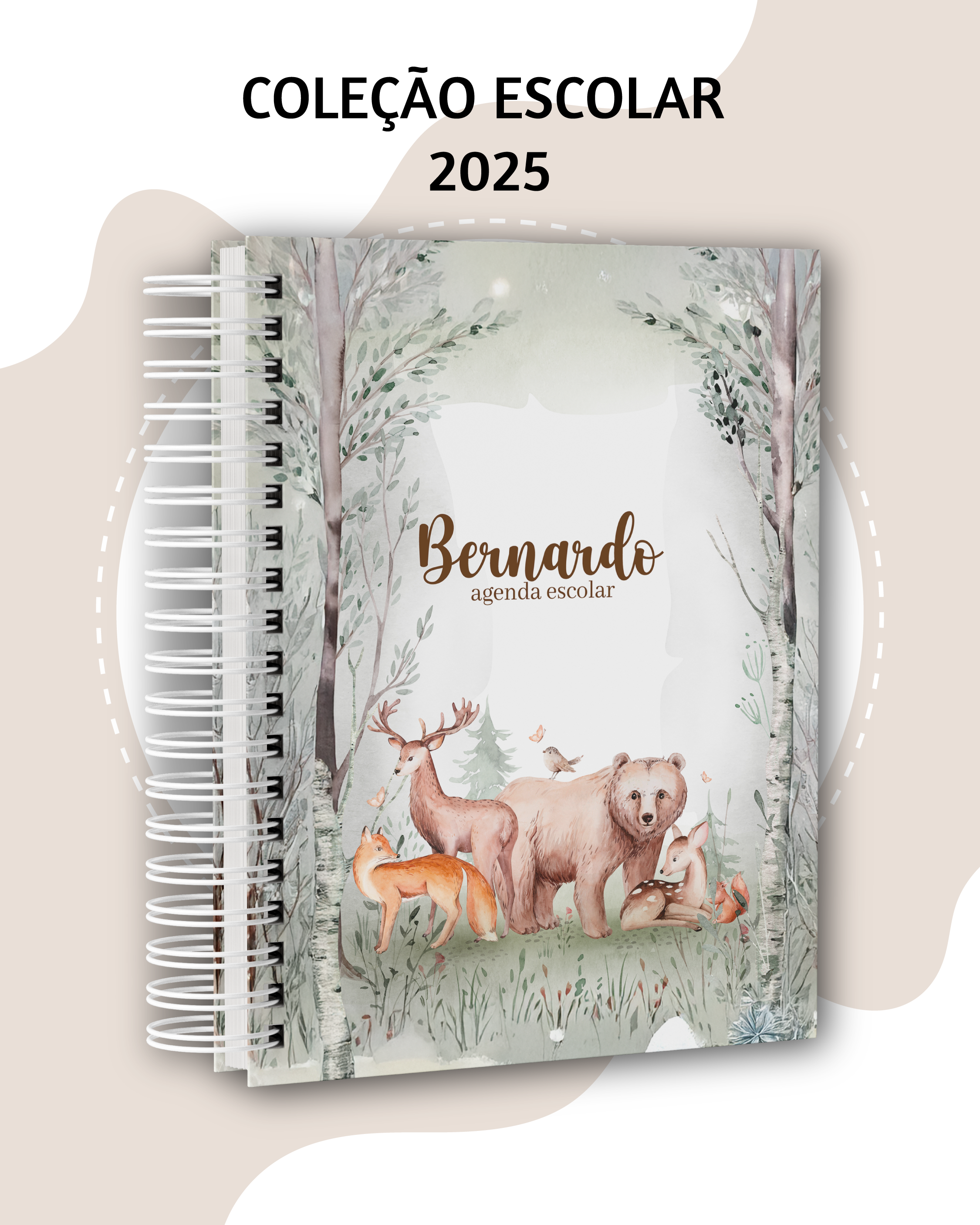 Arquivo Coleção escolar 2025 - Dream Arts 12