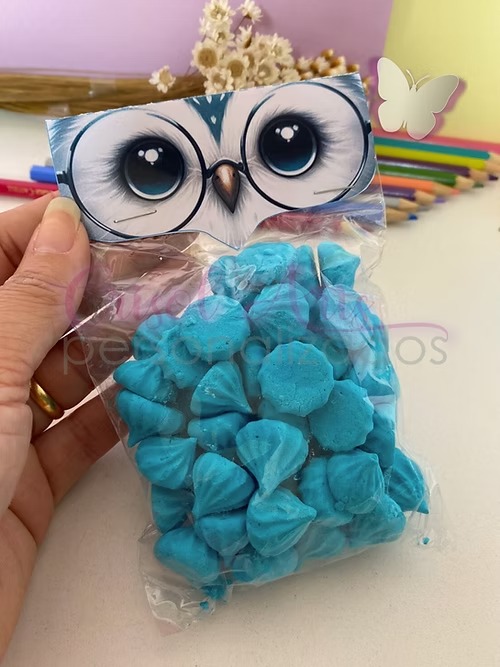 ARQUIVO DIA DOS PROFESSORES MINI LAPELA CORUJA AZUL - CRISOLART 1