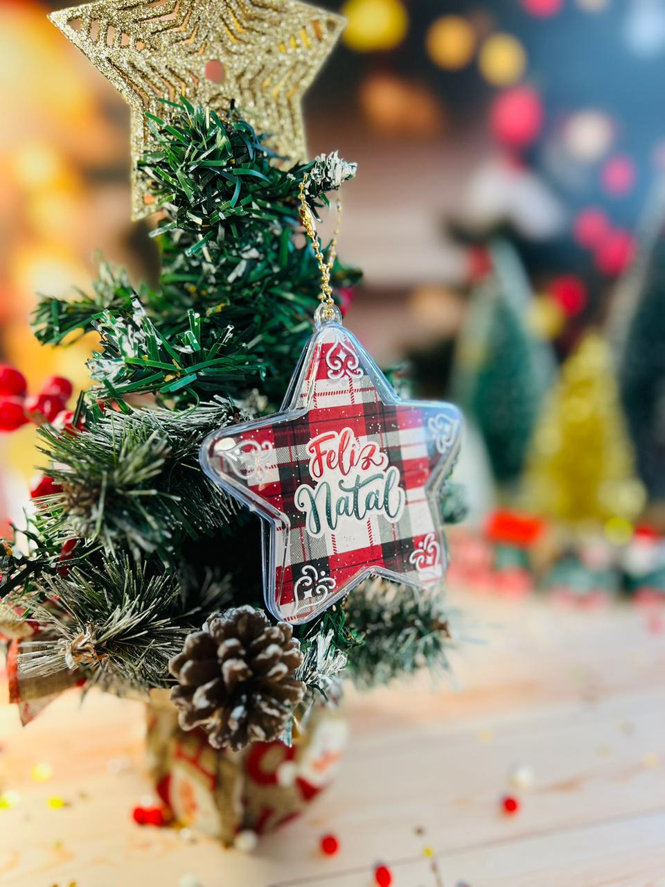 Arquivo Natal Estrela de Acrílico - ANA FLOR 2