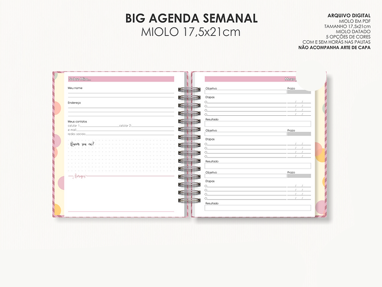 Arquivo Big Agenda Visão Semanal - Moldes da Lê 3