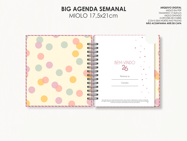 Arquivo Big Agenda Visão Semanal - Moldes da Lê 4