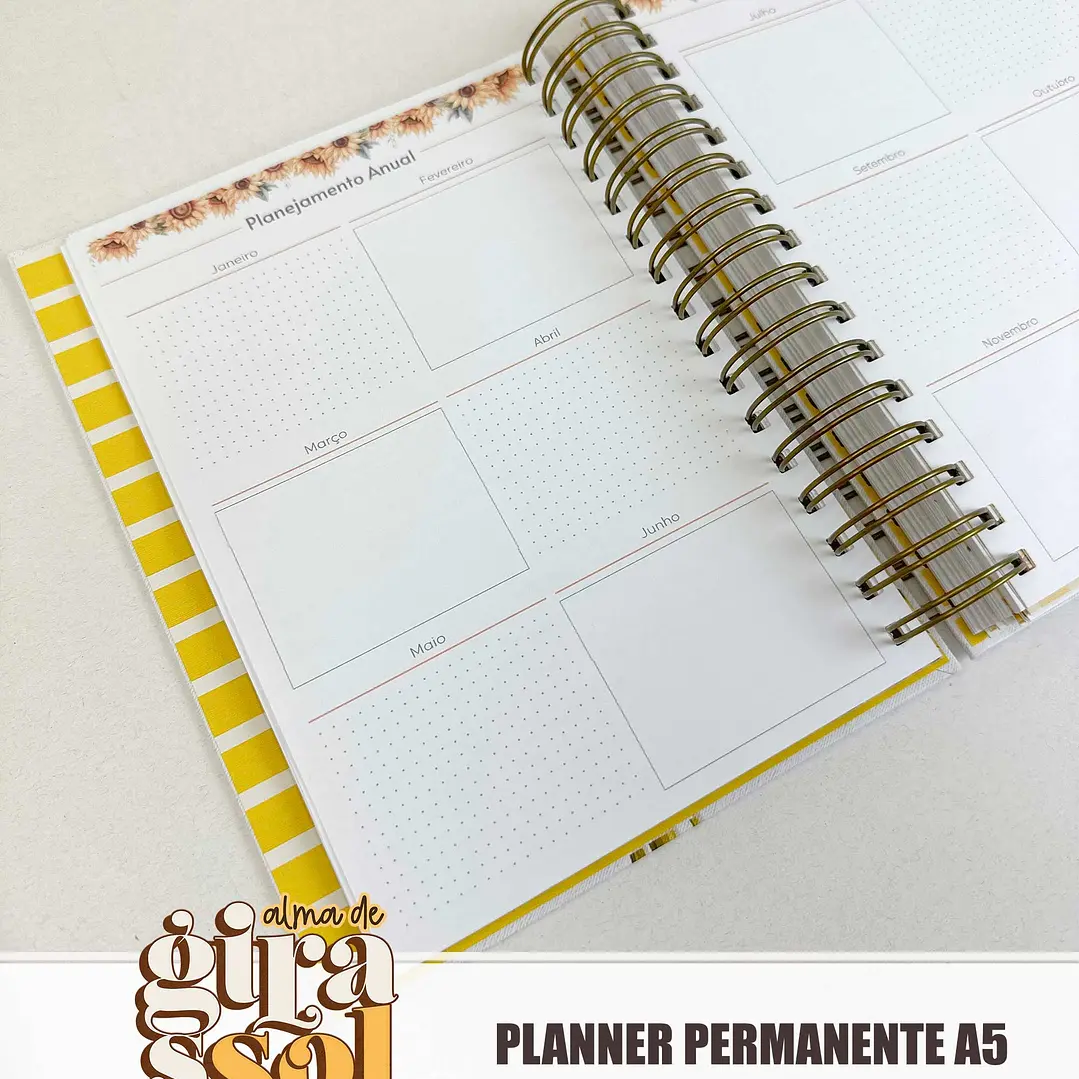 Arquivo Coleção Girassol Encadernação 01 - Tita 2