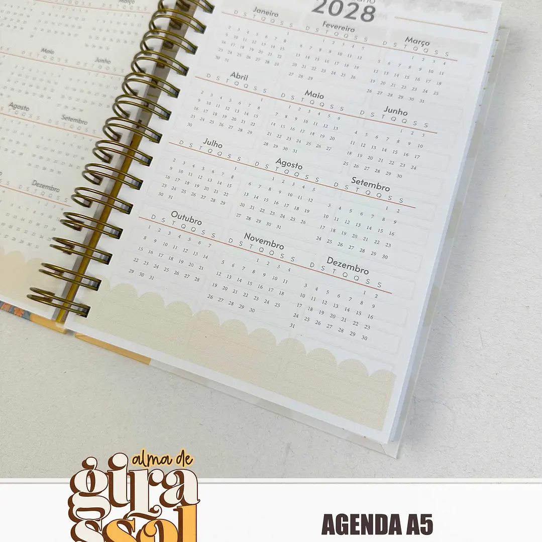 Arquivo Coleção Girassol Encadernação 01 - Tita 4