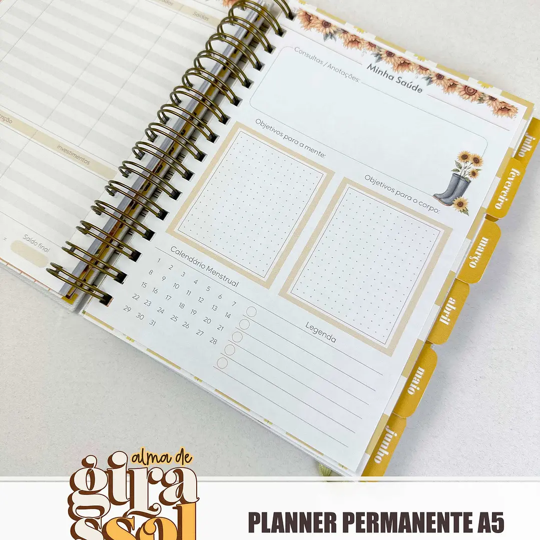 Arquivo Coleção Girassol Encadernação 01 - Tita 6