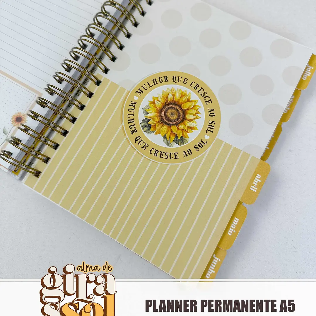 Arquivo Coleção Girassol Encadernação 01 - Tita 8