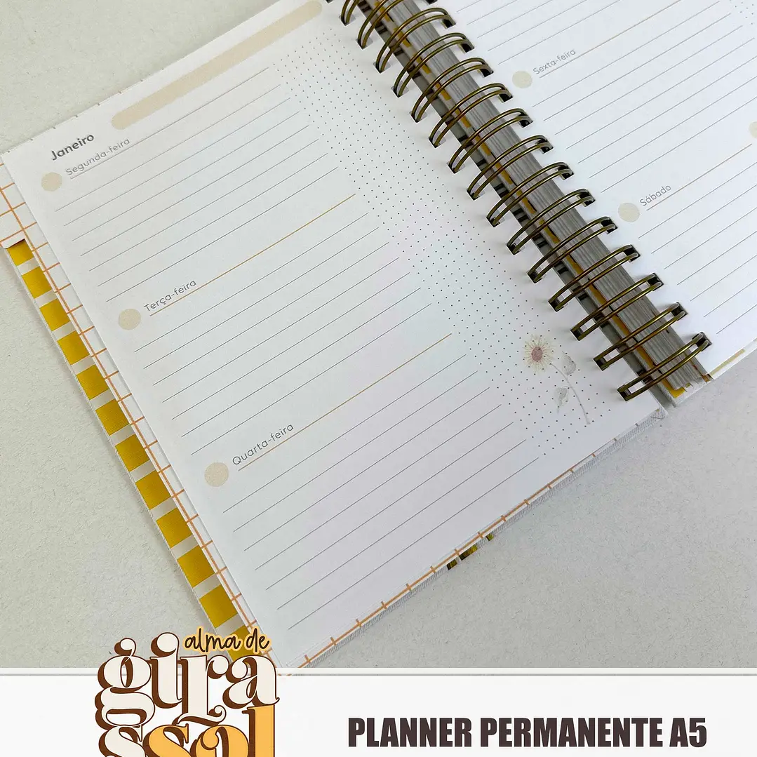 Arquivo Coleção Girassol Encadernação 01 - Tita 10