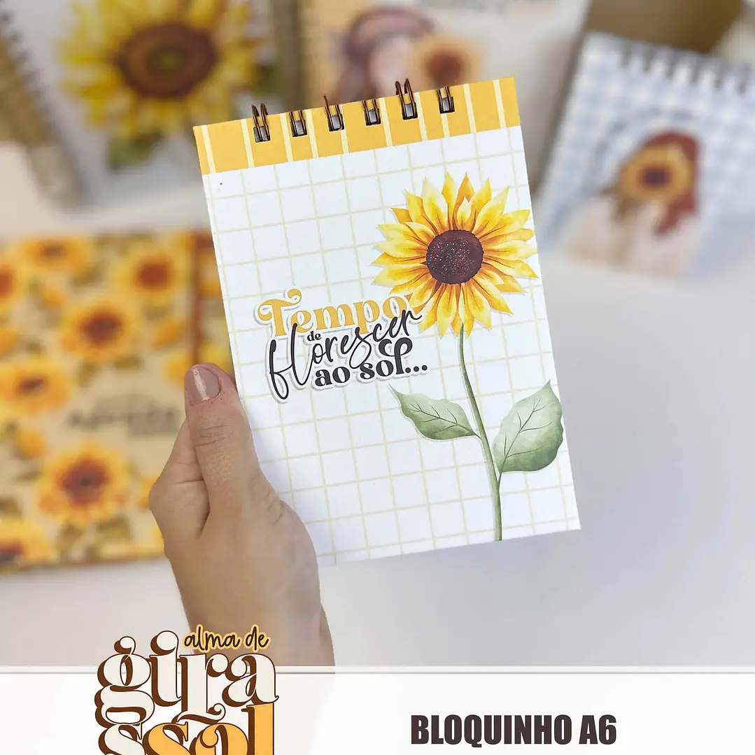 Arquivo Coleção Girassol Encadernação 01 - Tita 11