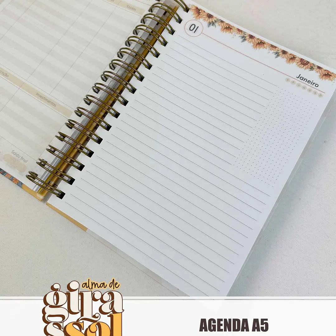 Arquivo Coleção Girassol Encadernação 01 - Tita 13