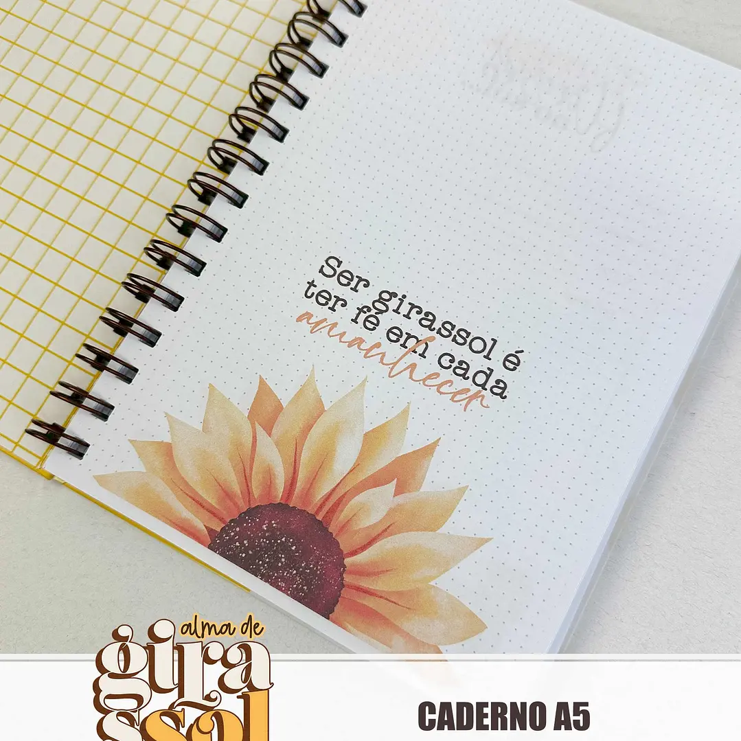 Arquivo Coleção Girassol Encadernação 01 - Tita 14