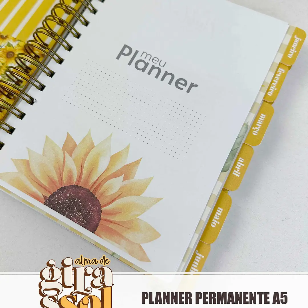 Arquivo Coleção Girassol Encadernação 01 - Tita 15