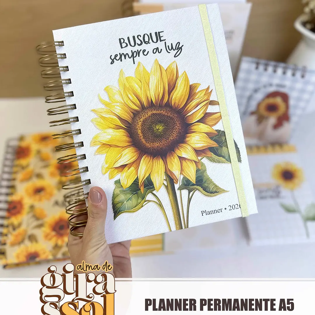 Arquivo Coleção Girassol Encadernação 01 - Tita 18