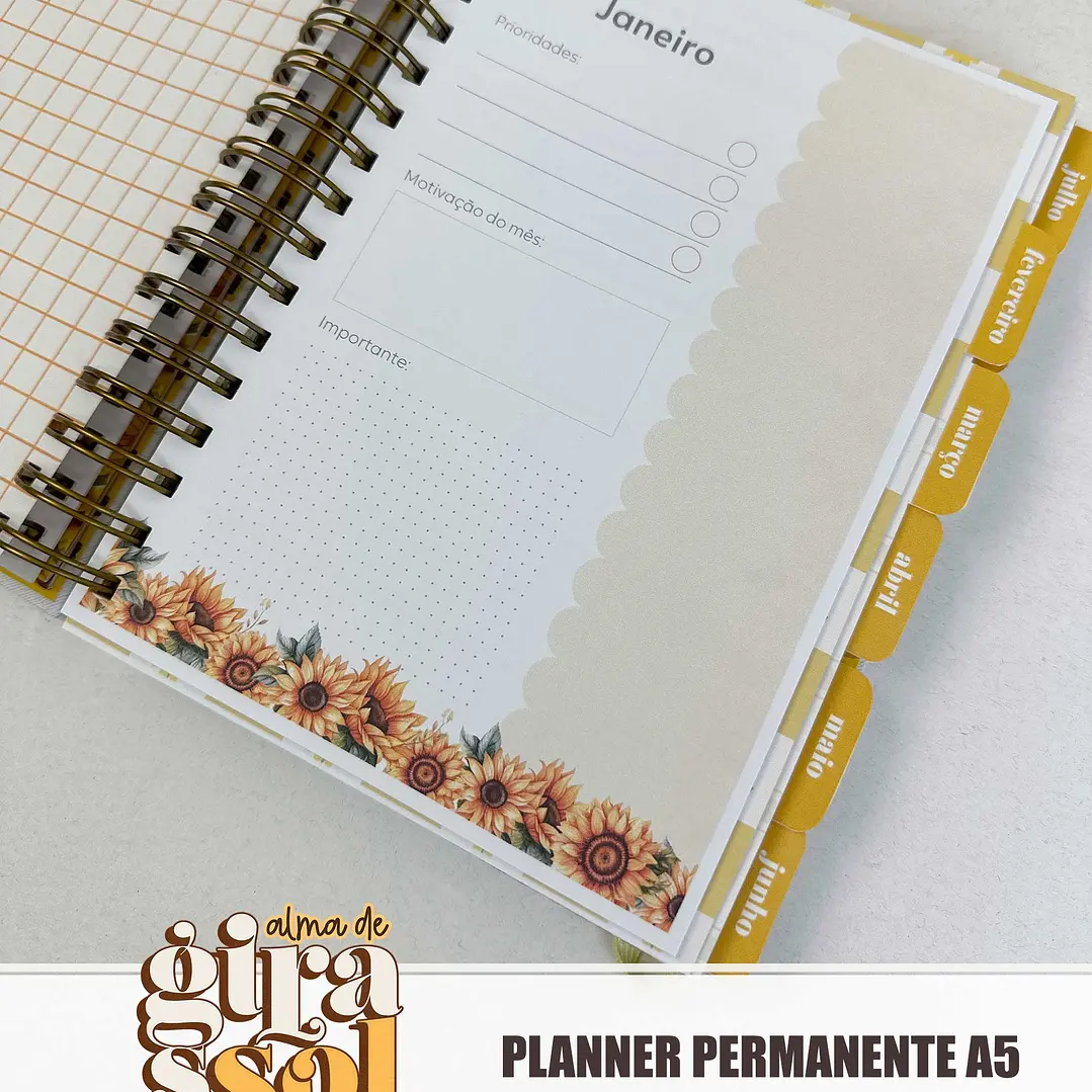 Arquivo Coleção Girassol Encadernação 01 - Tita 19