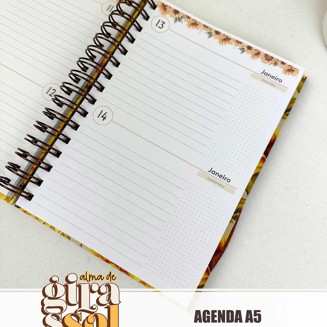 Arquivo Coleção Girassol Encadernação 01 - Tita 20